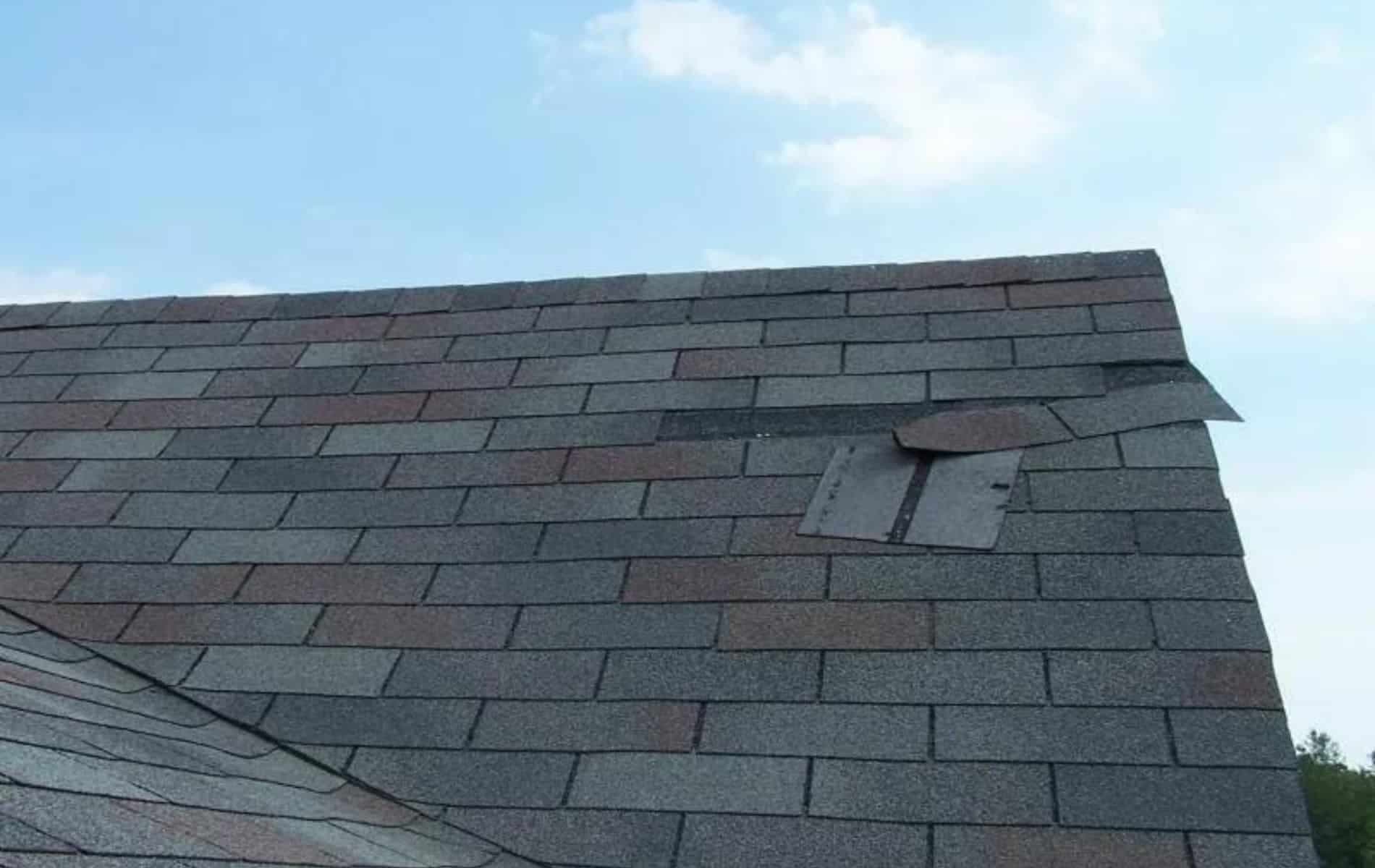 Can You Paint Roof Shingles? The Complete Guide for Homeowners